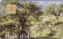 Huile d'olive