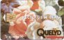 Quelyd